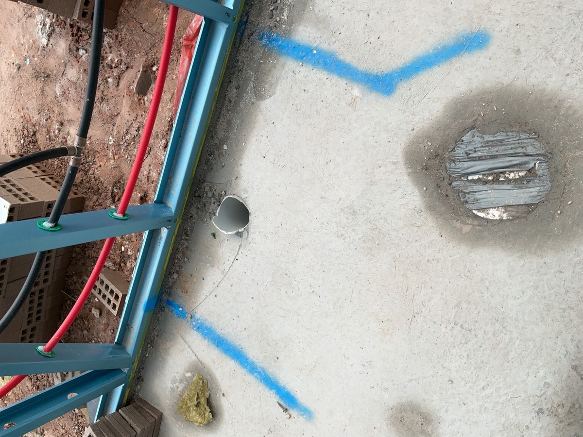 What a pest inspection can and cannot promise